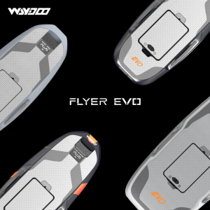 WAYDOO FLYER EVO