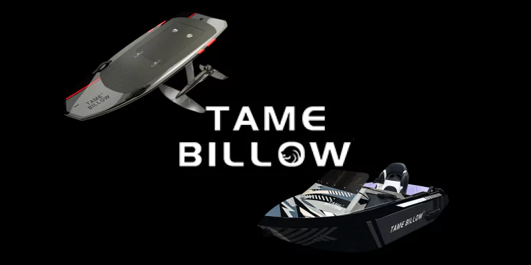 TAMEBILLOW